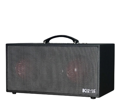 Loa Xách Tay ACNOS KSNet450 (2 Bass 16.5cm, Kèm 2 Micro, Pin 3-4h)