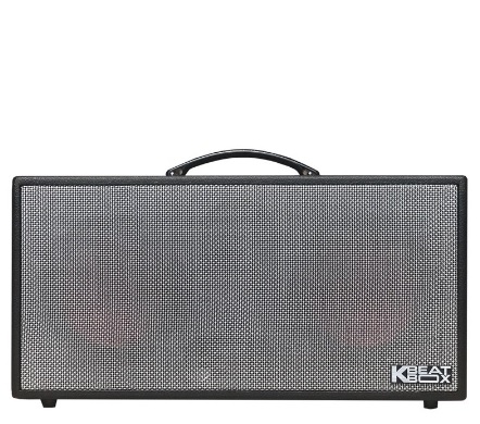 Loa Xách Tay ACNOS KSNet450 (2 Bass 16.5cm, Kèm 2 Micro, Pin 3-4h)