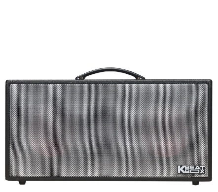 ACNOS KSNet450 (2 Bass 16.5cm, Kèm 2 Micro, Pin 3-4h)