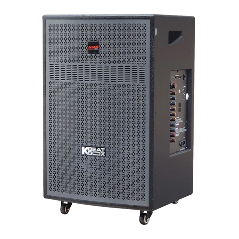 Loa Kéo Acnos CB405GD (Bass 40cm, 100W, Kèm 2 Micro, Pin 4-6h)