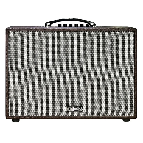 Loa Kéo Acnos CS250PU (Bass 25cm, 50W, Kèm 2 Micro)