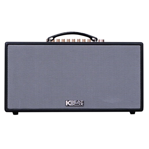 Loa Xách Tay Acnos HN447 (Bass 16.5cm, 100W, Kèm 2 Micro, Optical)