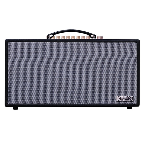 Loa Xách Tay Acnos HN450 (2 Bass 16.5cm, 150W, Pin 4-6h, Kèm 2 Micro)