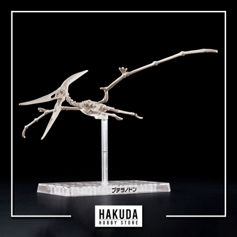 Mô hình Khủng Long Plannosaurus Pteranodon - Chính hãng Bandai Nhật Bản