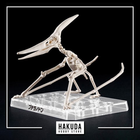 Mô hình Khủng Long Plannosaurus Pteranodon - Chính hãng Bandai Nhật Bản