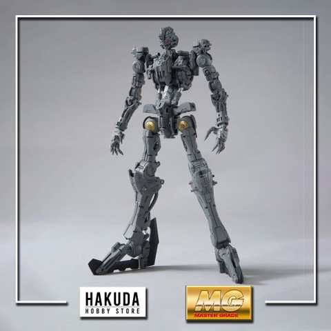 Mô hình MG 1/100 Gundam Vidar - Chính hãng Gundam Bandai Nhật Bản