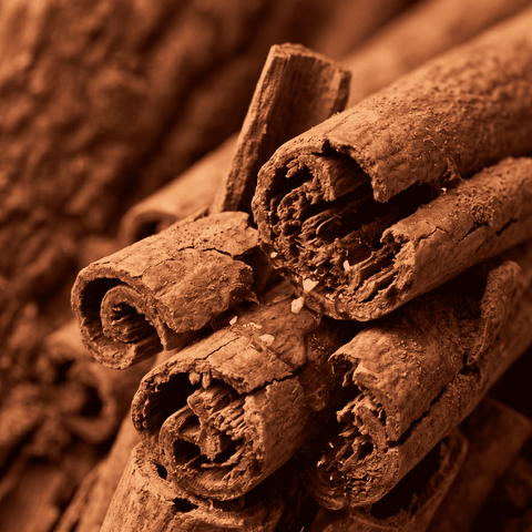 RAW MATERIAL - CINNAMON BARK OIL