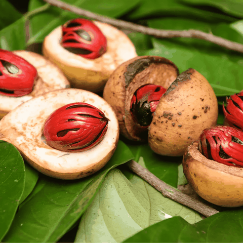 RAW MATERIAL - NUTMEG