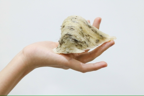 Sản phẩm yến thô