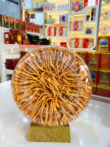 ĐÔNG TRÙNG HẠ THẢO LOẠI 1 Hộp 100gr