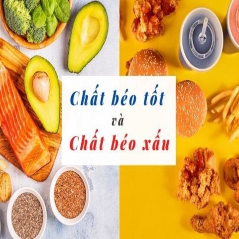 Ưu nhược điểm của chất béo với vẻ đẹp trong khẩu phần ăn