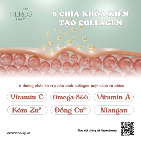 6 Dưỡng chất hỗ trợ sản sinh collagen một cách tự nhiên