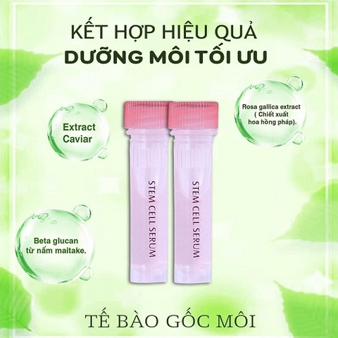 Tại Sao Bạn Nên Dùng Stem Cell Serum Cho Đôi Môi Của Mình Sau Phun Xăm