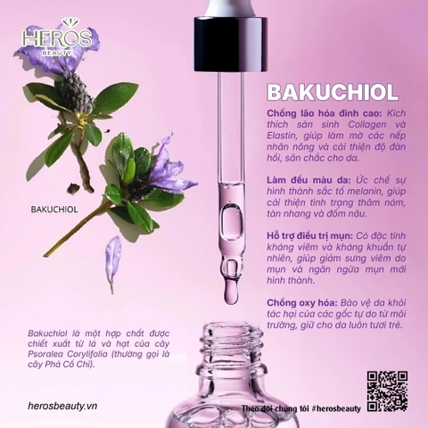 Bakuchiol - Hoạt chất chống lão hóa da từ tự nhiên