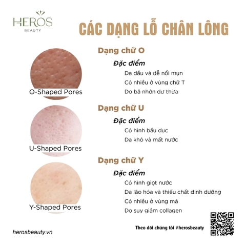 Các dạng lỗ chân lông và cách thu nhỏ hiệu quả