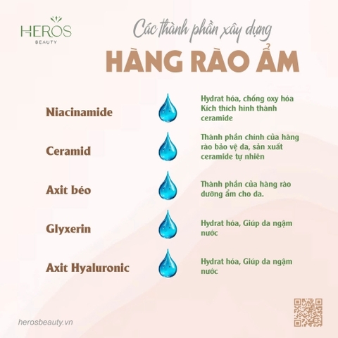 Hàng rào ẩm là gì? Các thành phần xây dựng nên hàng rào ẩm