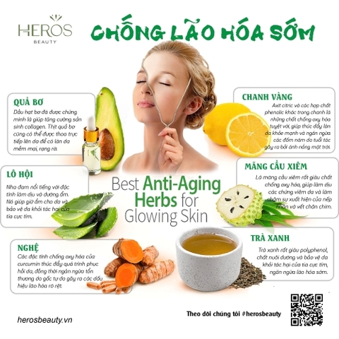 Top thực phẩm “vàng” giúp chống lão hóa sớm