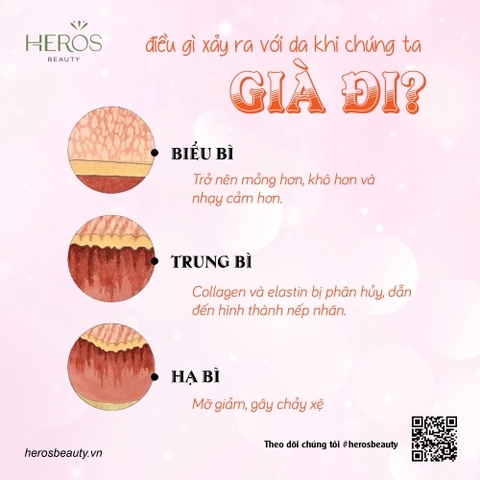 Điều gì xảy ra với da khi chúng ta già đi?