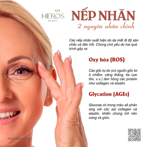 NGUYÊN NHÂN CHÍNH GÂY NÊN TÌNH TRẠNG NẾP NHĂN