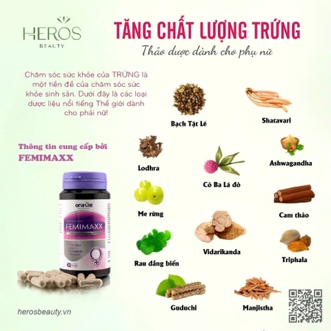 12 Loại thảo dược quý giúp tăng chất lượng trứng 