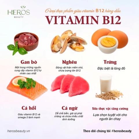 6 LOẠI THỰC PHẨM GIÀU VITAMIN B12 HÀNG ĐẦU