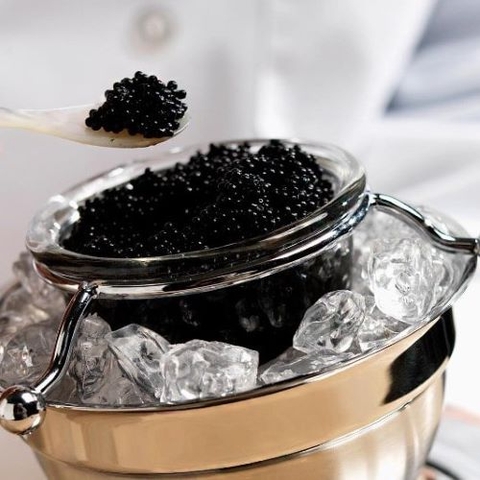 Những công dụng của trứng cá tầm đen mà có thể bạn chưa biết