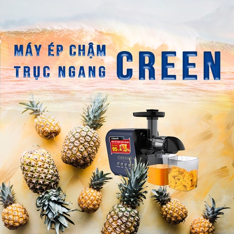 ᴛẾᴛ 