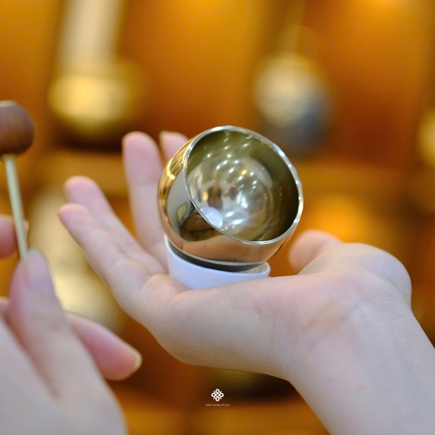 Chuông Asutororin Nhật Bản - đế trắng