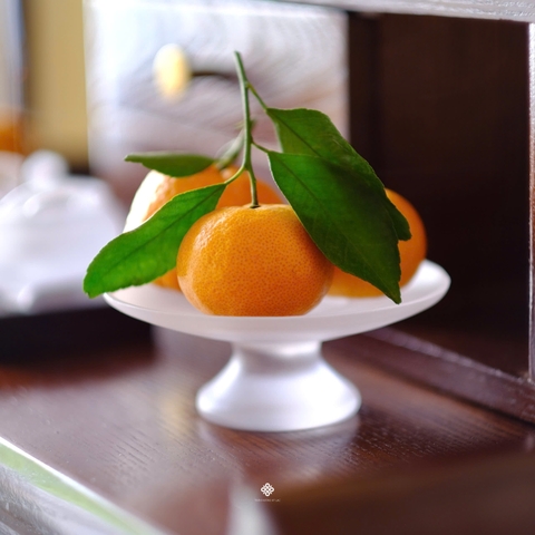 Đĩa bồng lưu ly trắng nhỏ
