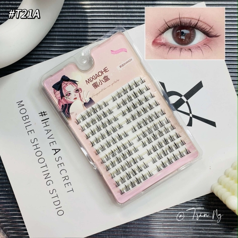 Mi cụm hướng dương