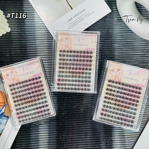 Mi truyện tranh 5D