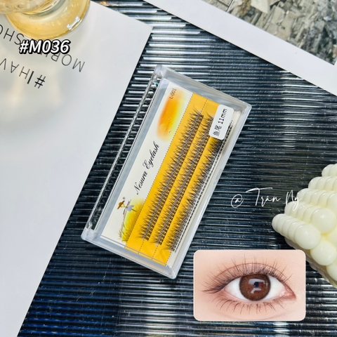 Mi đuôi cá mềm mại