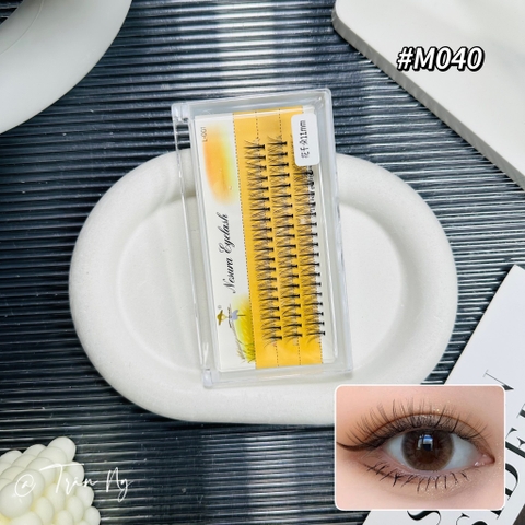 Combo mi chùm trụ vàng