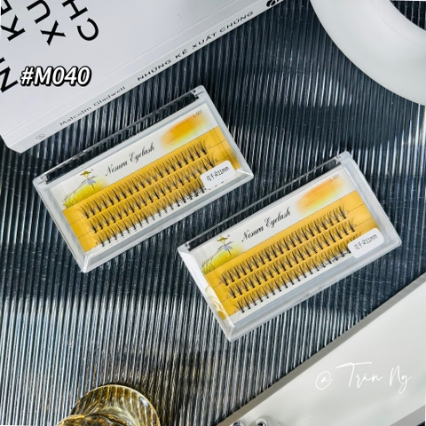 Mi Chùm Trụ Vàng