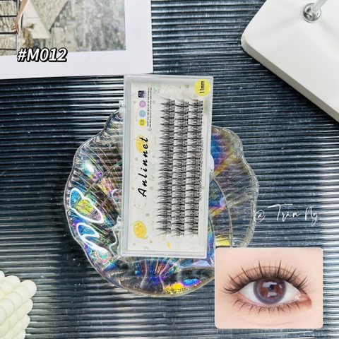 Mi chùm trụ so le Thái