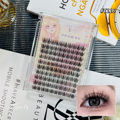 Mi truyện tranh 5D