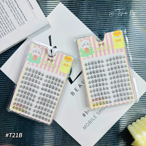 Mi cụm hướng dương