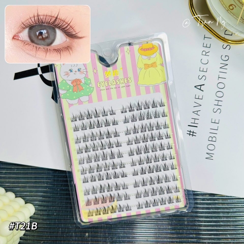 Mi cụm hướng dương