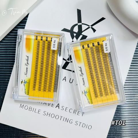 Combo mi đuôi cá mix size