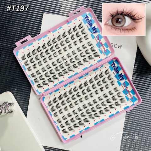 Mi keo sẵn cún xéo