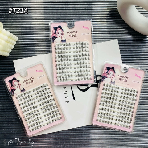 Mi cụm hướng dương