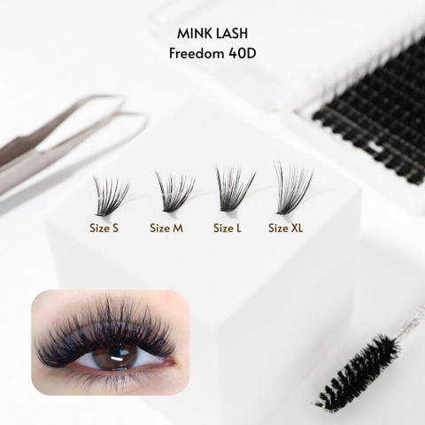 Mi chùm Freedom 40D