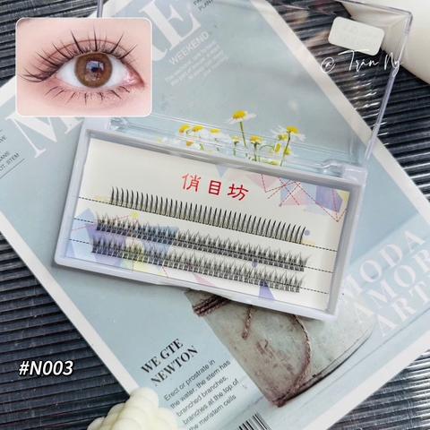 Mi chữ A mix đuôi cá mini