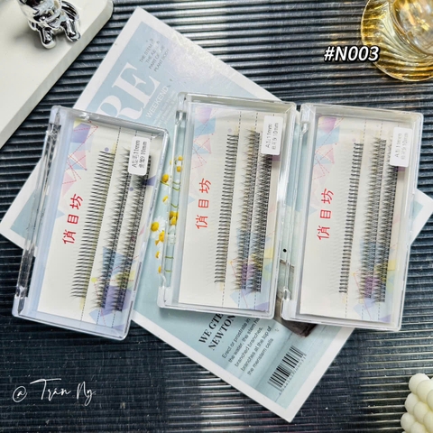 Mi chữ A mix đuôi cá mini