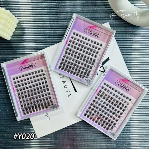 Mi cụm Âu Mỹ Y020