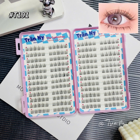 Mi hoa sơn trà 9mm