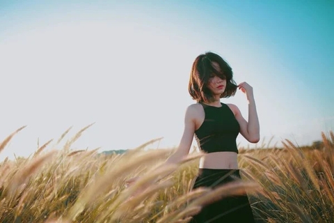 Chiffon - chất liệu 