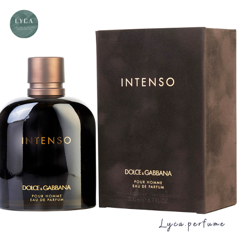 [DOLCE & GABBANA] NƯỚC HOA POUR HOMME INTENSO EDP 100ML