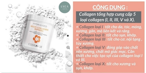 [CODE AGE] Bột uống Multi Collagen Peptides chocolate, hydrolyzed, wild-caught powder