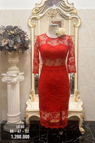 Váy dự tiệc ren quyến rũ